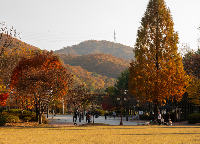 메인사진