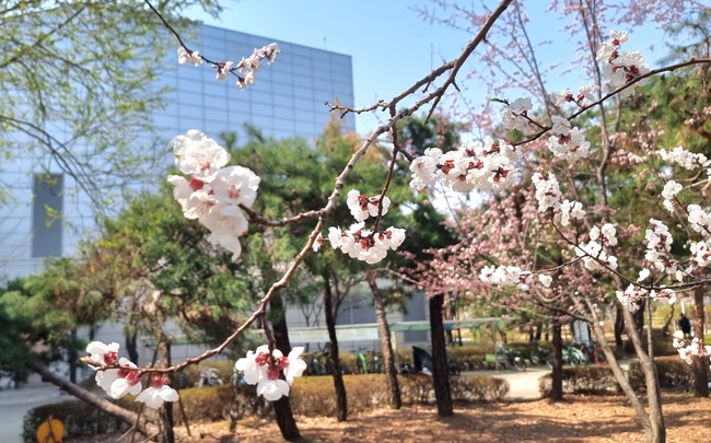 메인사진