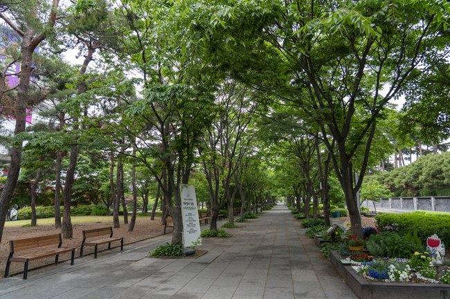 메인사진