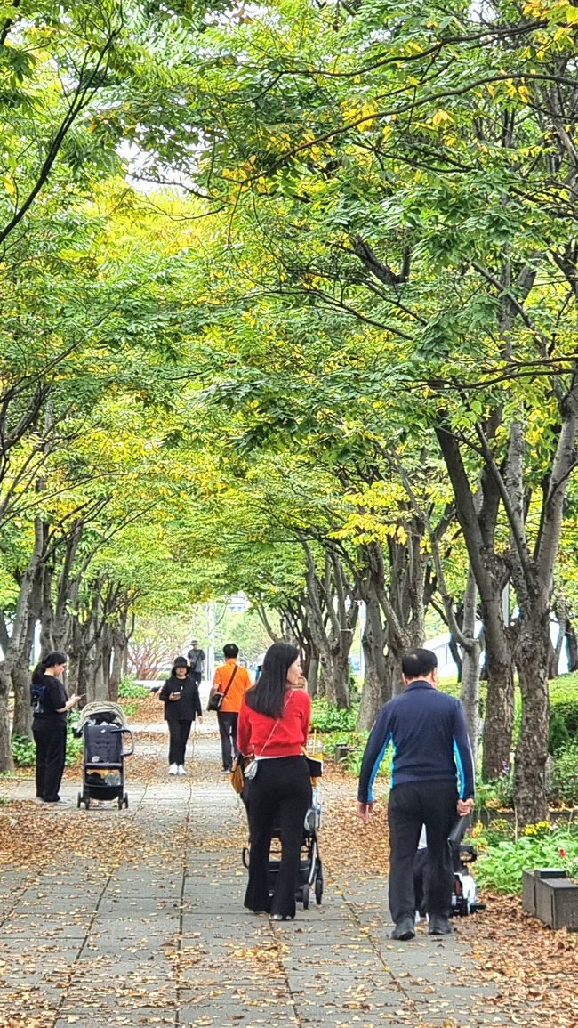 메인사진