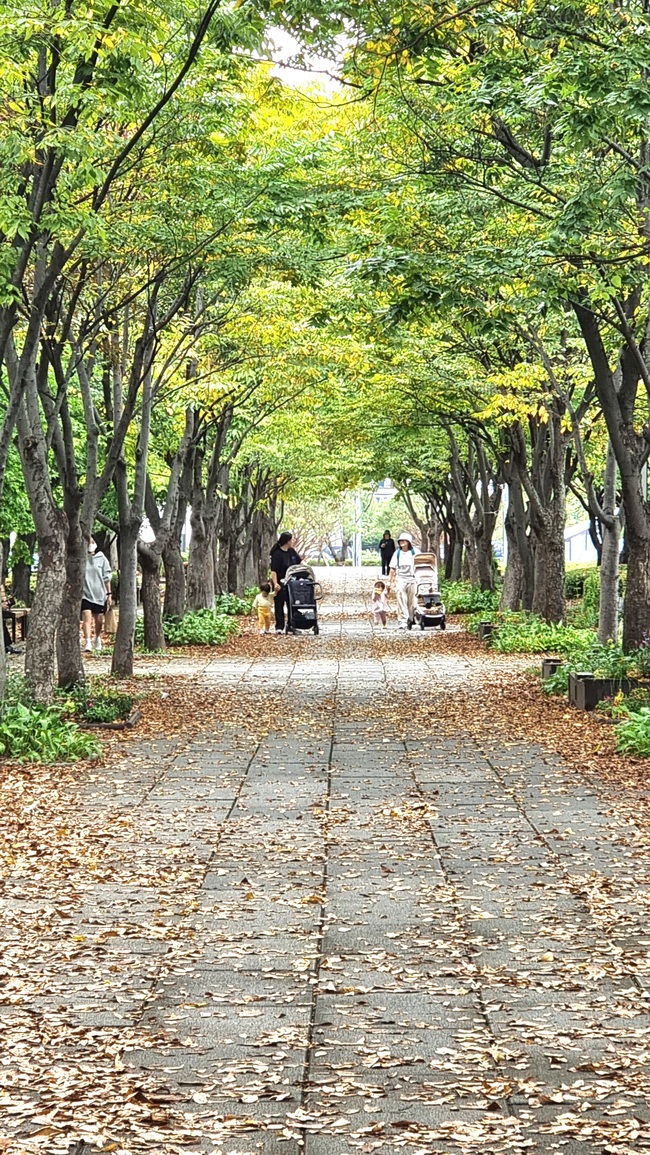 메인사진