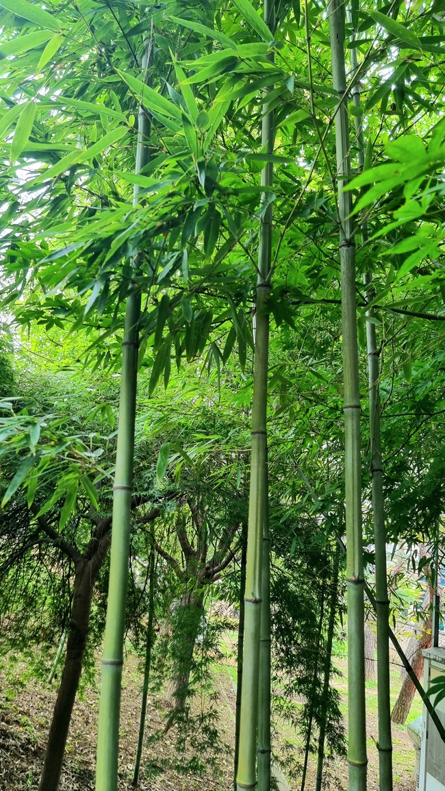 메인사진