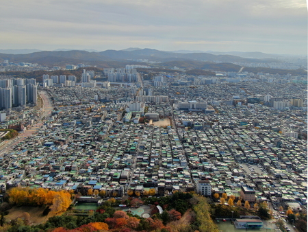 메인사진