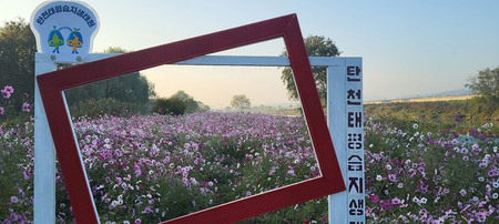 메인사진