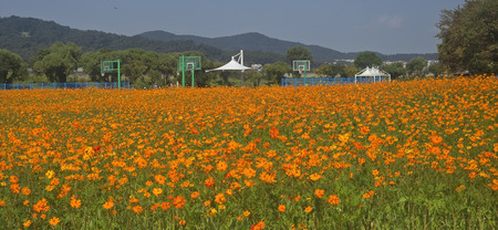 메인사진